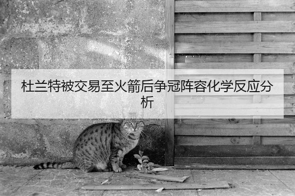 杜兰特被交易至火箭后争冠阵容化学反应分析