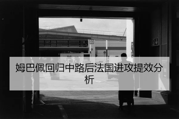 mu-ba-pei-hui-gui-zhong-lu-hou-fa-guo-jin-gong-ti-xiao-fen-xi-2-804.jpg