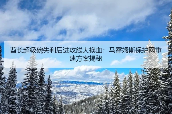 酋长超级碗失利后进攻线大换血：马霍姆斯保护网重建方案揭秘