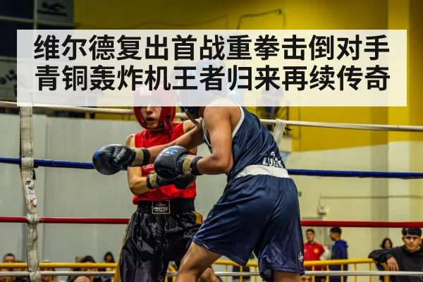 维尔德复出首战重拳击倒对手 青铜轰炸机王者归来再续传奇